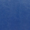 Midnight Blue