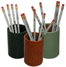 Reptile Grain Leather Pen and Pencil Cups